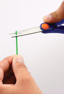 Sheep Artificial Insemination